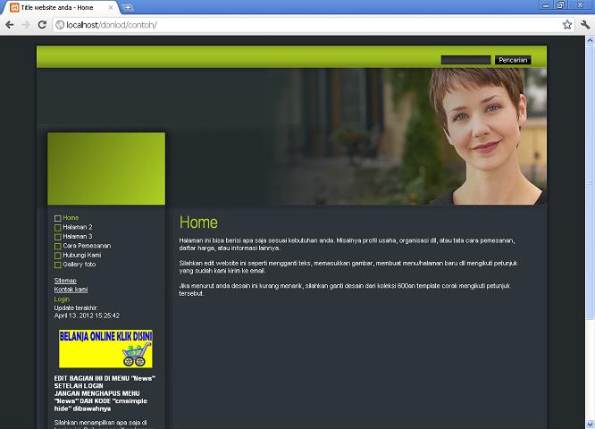 koleksi tema website