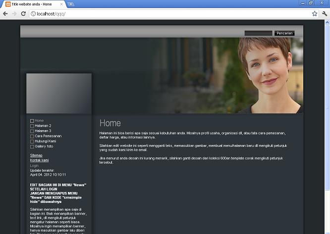 koleksi tema website