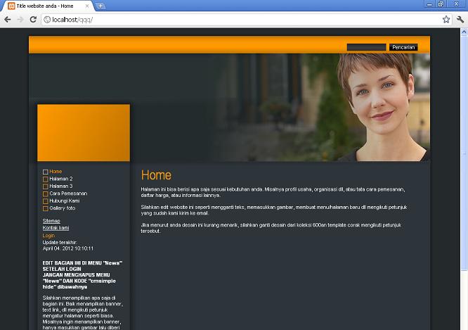 koleksi tema website