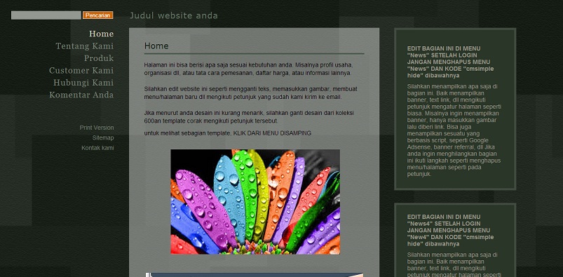 koleksi tema website