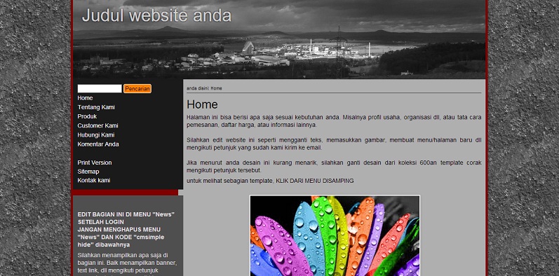 koleksi tema website
