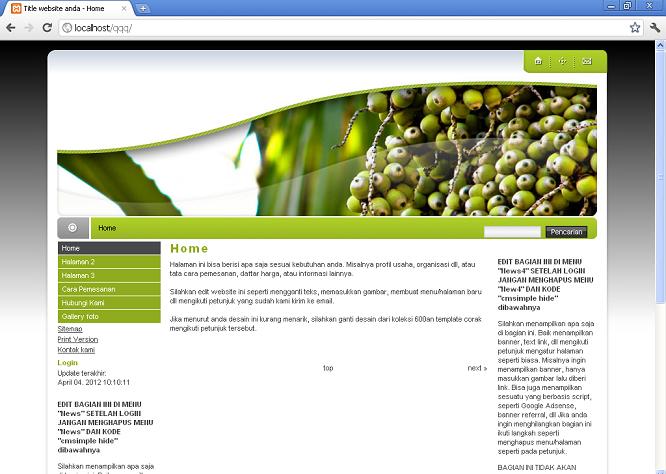 koleksi tema website