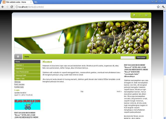 koleksi tema website