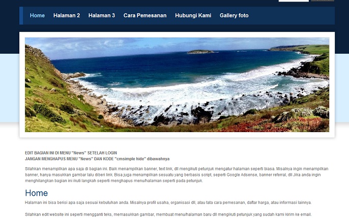koleksi tema website