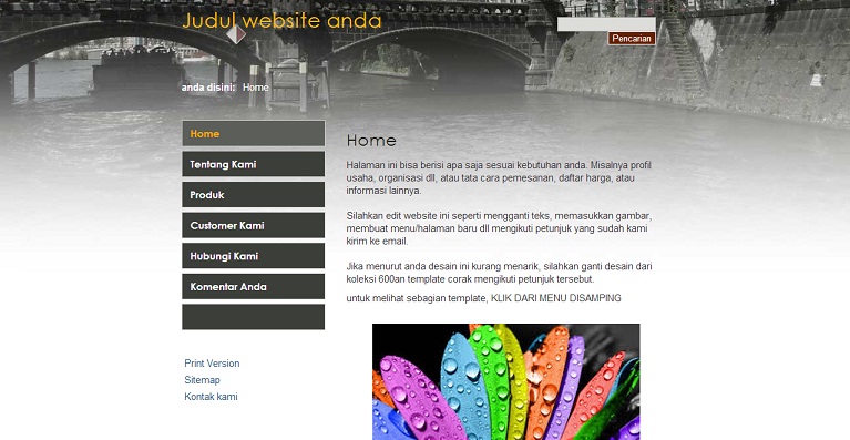 koleksi tema website