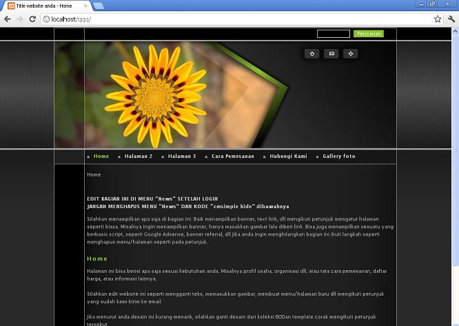 koleksi tema website