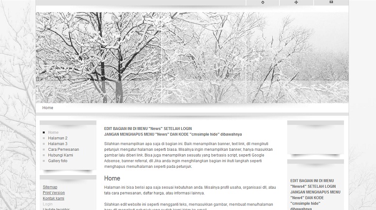 koleksi tema website