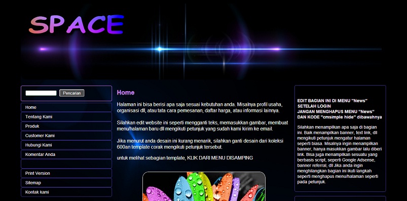 koleksi tema website