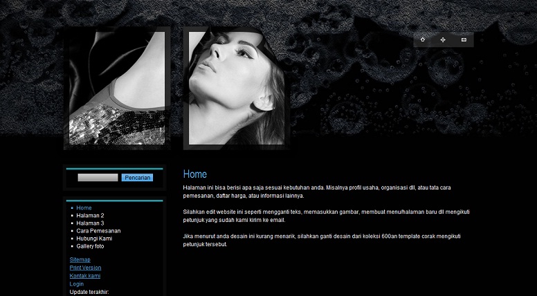 koleksi tema website