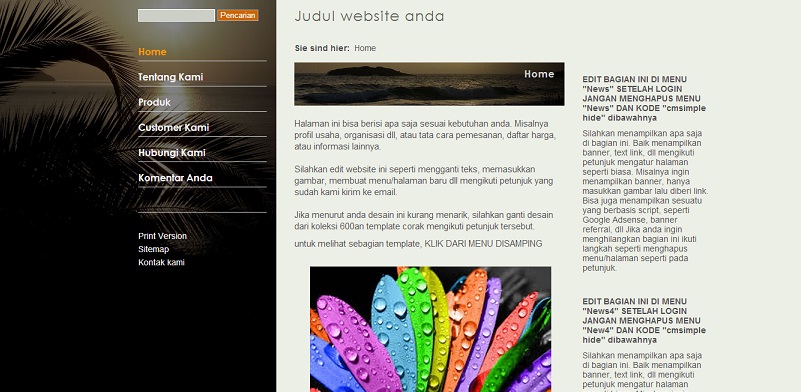 koleksi tema website